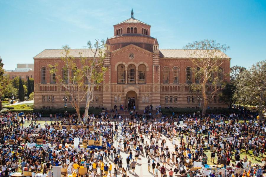 life at ucla