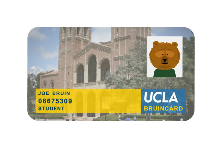 bruin card example image